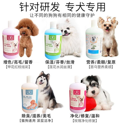 狗狗专用沐浴露 杀菌除臭，守护宠物的健康与舒适