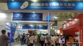 华中电商第一展 500余家企业齐聚，技术服务引领行业新浪潮