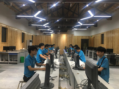 科技赋能乡村 电子商务学院党支部开展‘三下乡’技术服务活动纪实